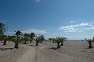 Hospitalet, la spiaggia con le palme